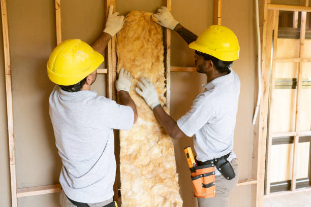 Best Insulation Removal  in Kalaeloa, HI